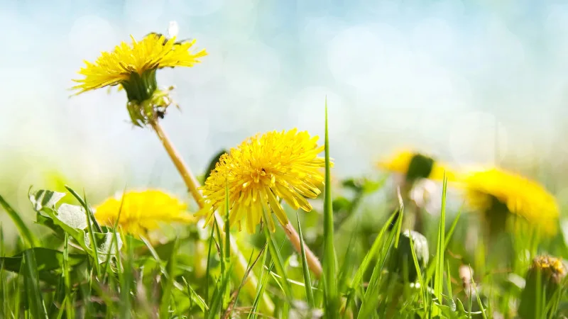 Май 2026 года в Казахстане: синоптики Казгидромета прогнозируют аномально высокие температуры до +44°C и резкие заморозки до - в некоторых регионах. Специалисты отмечают, что в целом по стране ожидается нестабильная погода, с частыми колебаниями температу Актобе