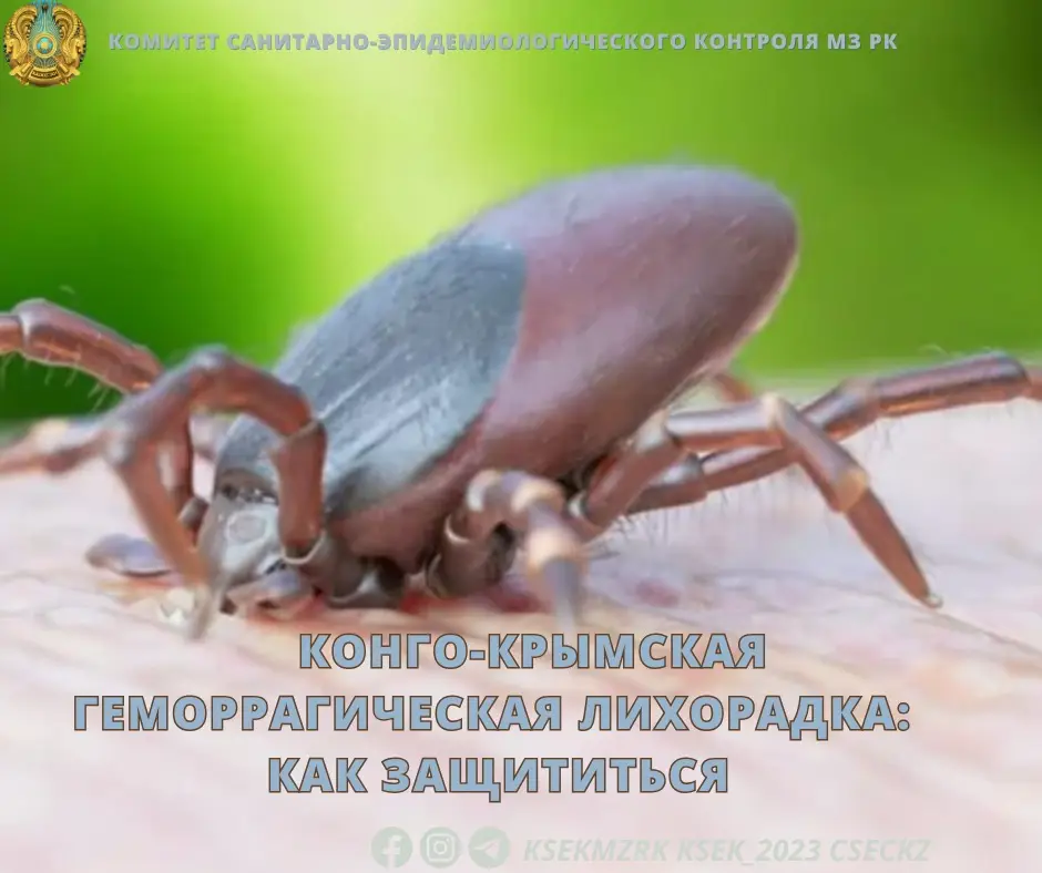 Конго-Крымская геморрагическая лихорадка: щит против невидимого врага Актобе