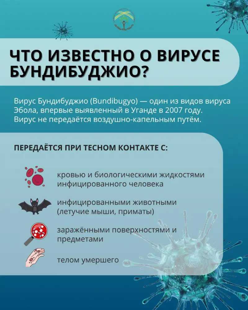 Эбола: рекомендации для международных путешественников Актобе