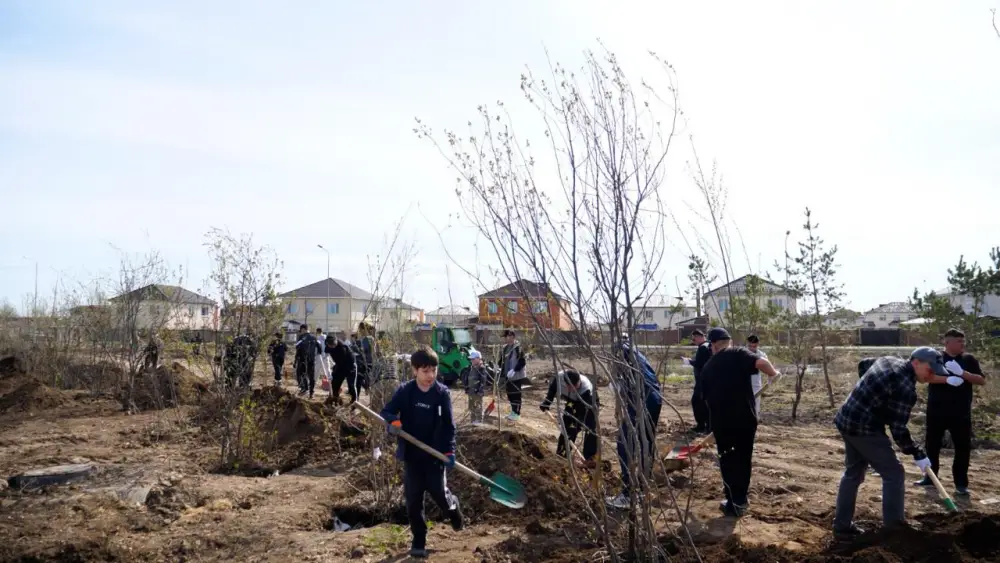 Более 400 деревьев высажено в столичном жилом массиве Уркер (7)