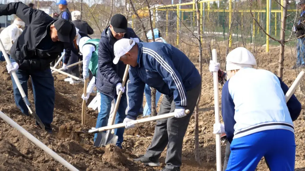 Более 400 деревьев высажено в столичном жилом массиве Уркер (5)