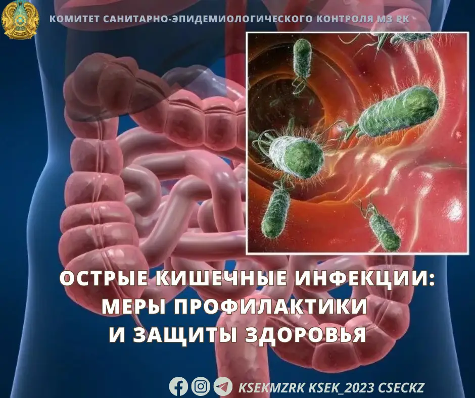 Социальные риски острых кишечных инфекций: уязвимость групп населения и важность профилактики Актобе