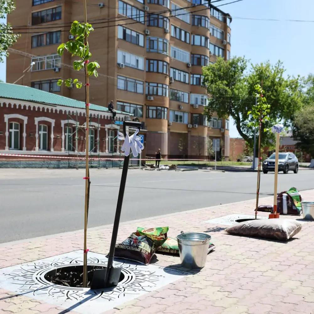 Павлодар: международные стандарты озеленения и обновления городского зеленого фонда Актобе