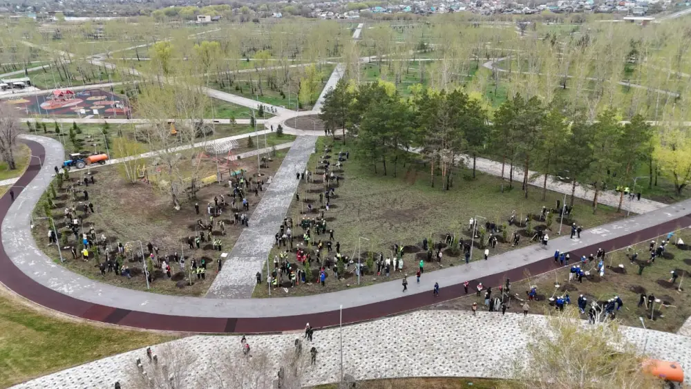 Жители региона высадили 12 тысяч саженцев (4)