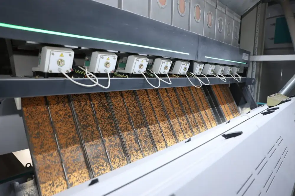 Костанайская область усиливает экспорт переработанной продукции сельского хозяйства (3)