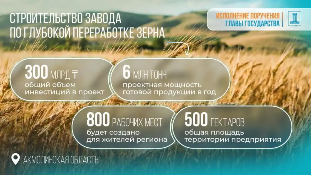 Инвестиции в завод по глубокой переработке зерна в Акмолинской области Казахстана Актобе