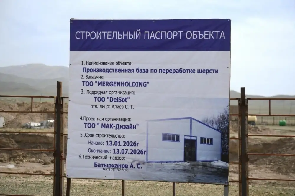 Шерсть как новое золото: в Алматинской области возводят завод для переработки овечьей шерсти Актобе