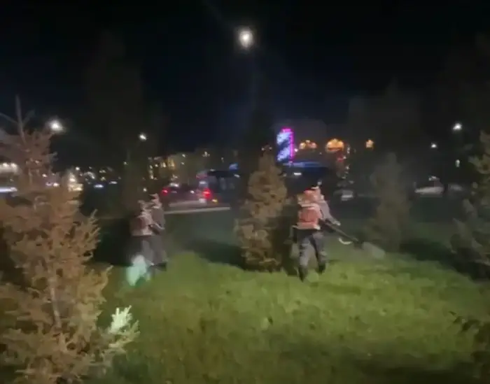 Дезинсекция в Астане обработка водоемов против комаров Актобе