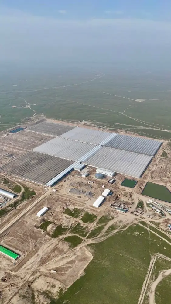КРУПНЕЙШАЯ ПРОМЫШЛЕННАЯ ТЕПЛИЦА В СТРАНЕ БУДЕТ ЗАПУЩЕНА В ТУРКЕСТАНСКОЙ ОБЛАСТИ (2)