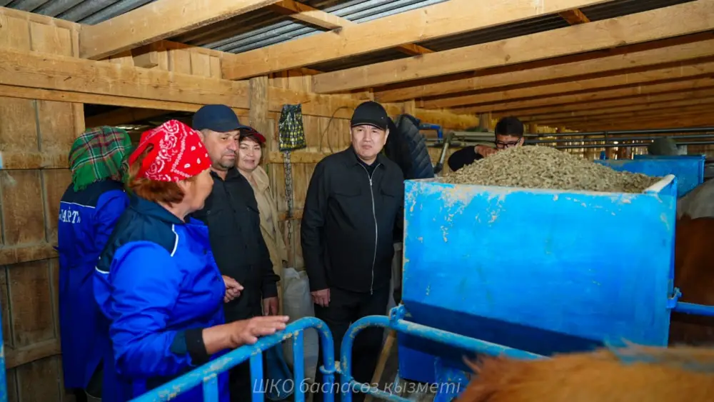 Аким Нурымбет Сактаганов посетил крестьянское хозяйство «Кайрат», где содержатся высокопродуктивные симментальские коровы Актобе