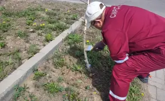 ТРЦ Астаны участвуют в озеленении города