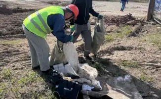Масштабная экоакция «Таза Қазақстан» в Астане: 120 тыс. участников и 10 тыс. высаженных деревьев
