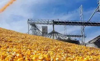 В Туркестанской области строится крупный завод по глубокой переработке кукурузы, что сулит новые рабочие места и экономический рост