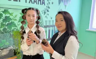 Астана школьница улитки террариум косметология