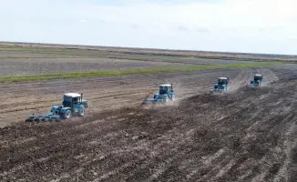 Засев сельхозкультур в Казахстане 14.5 миллионов гектаров