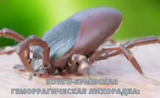 Конго-Крымская геморрагическая лихорадка: щит против невидимого врага