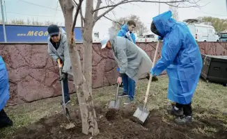 70 тысяч деревьев: новый лес или новая жизнь?