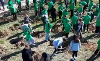 Павлодар: 200 тысяч за чистоту и зелень!