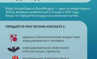 Эбола: рекомендации для международных путешественников