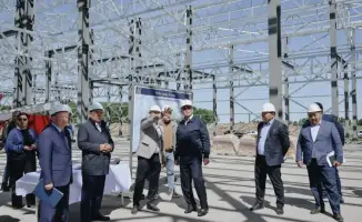 В Кызылжаре откроется завод по переработке люцерны — новые рабочие места и экспорт в Китай!