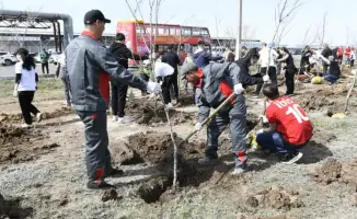 Сотрудники ресторанного и гостиничного бизнеса Астаны участвуют в акции по озеленению города