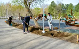 300 деревьев высажено в парке «Ататюрк»