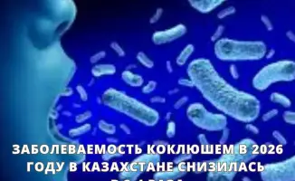 Снижение заболеваемости коклюшем в Казахстане в 2026 году: вакцинация как ключевой фактор