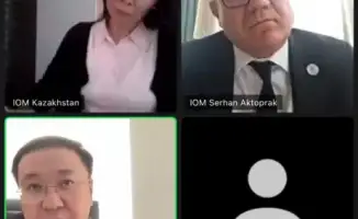 Онлайн-встреча по вопросам миграционной политики: акцент на квалифицированной миграции и инновациях в управлении