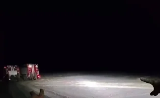 Британские туристы застряли в степи Мангистау: спасатели пришли на помощь