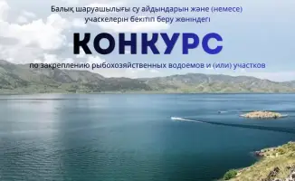 Конкурс на закрепление резервных участков водохранилища: возможности для развития промыслового рыболовства