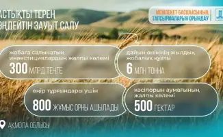 В Акмолинской области построят завод по переработке зерна
