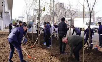 Генеральная прокуратура участие субботник озеленение высадка деревьев уборка территории