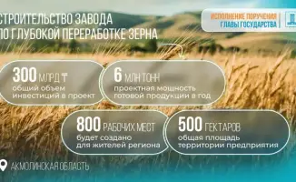 Инвестиции в завод по глубокой переработке зерна в Акмолинской области Казахстана