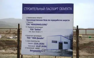 Шерсть как новое золото: в Алматинской области возводят завод для переработки овечьей шерсти