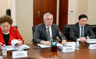 Казахстан ОЭС товарооборот 15 млрд стратегическое партнерство