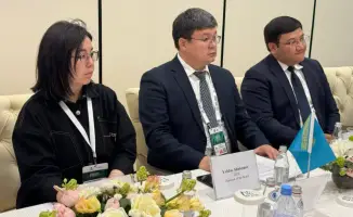 Казахстан и ОТГ на встрече обсудили создание Совета по энергоэффективности