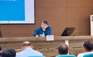 ТУРКЕСТАН: УВЕЛИЧЕНИЕ ПЛОЩАДИ ПОВРЕЖДЕННЫХ УЧАСТКОВ ОТ САРАНЧИ УГРОЖАЕТ СЕЛЬСКОМУ ХОЗЯЙСТВУ