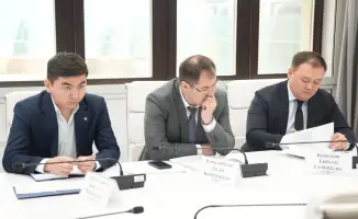 Обсуждение экологических проблем и незаконной добычи ископаемых на приеме граждан в Казахстане