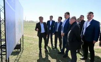 Абайская область внедряет системные меры для обеспечения фитосанитарной безопасности в борьбе с саранчой