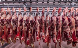 Казахстан и Турция: Новый этап сотрудничества в агропромышленности