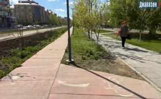 Велодорожки города: время обновить разметку или потерять путь?