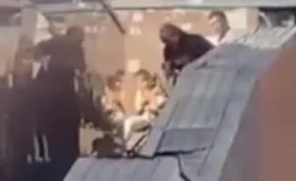 В Астане мужчина избил супругу на глазах у прохожих: семейный конфликт попал на видео, возбуждено уголовное дело