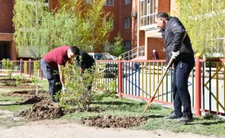 В субботу актюбинцы приглашаются на масштабную уборку: город готовится к участию в экологической акции