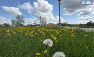 Внимание! Срыв одуванчиков может обернуться серьезными последствиями. В некоторых регионах страны за несанкционированный сбор этих растений, занесенных в Красную книгу, можно получить наказание в виде лишения свободы до трех лет. Юристы предупреждают: так