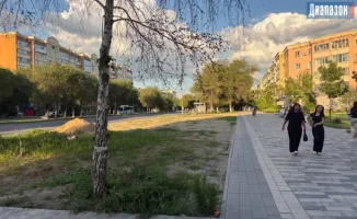 Деревья срубили, а суперостановку «Сазда» так и не построили: разочарование жителей в ожидании обещанных изменений.