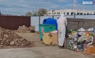 Международный опыт: Как города мира борются с крысами и комарами