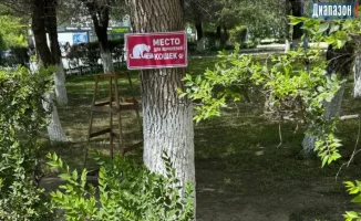 Оштрафовали за бездомных кошек на 43 тысячи тенге: советы юриста по защите прав животных