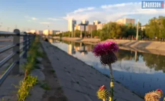 Жаркие дни в Актобе: температура достигает 35°C с небольшими осадками 10 июня