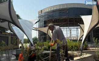 Изменения в Центральном парке: новые возможности для отдыха и развлечений