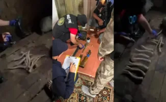 Обнаружение туши сайгаков и рогов у сельчанина: социальные последствия охоты на исчезающие виды